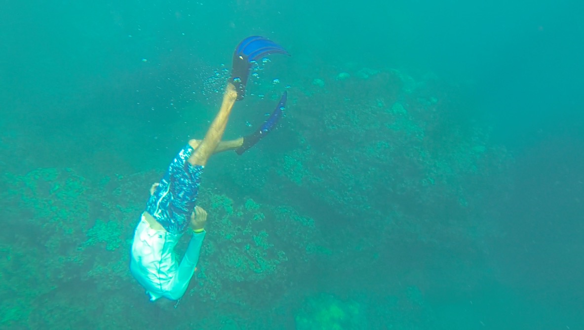 Snorkeling en Islas Marietas