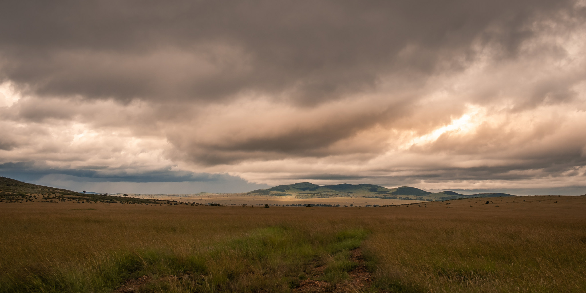 El territorio del Masai Mara tiene 1510 km cuadrados