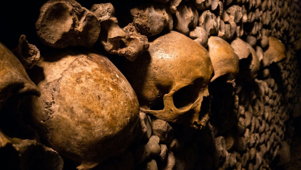 paris catacombs