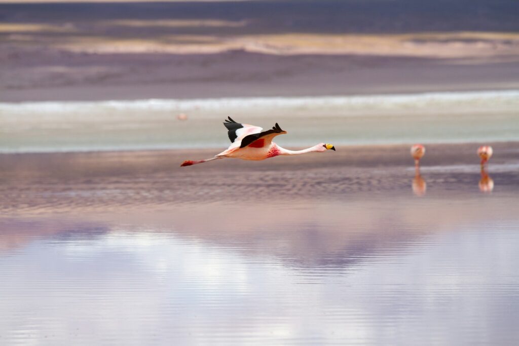 natural virgin sanctuaries