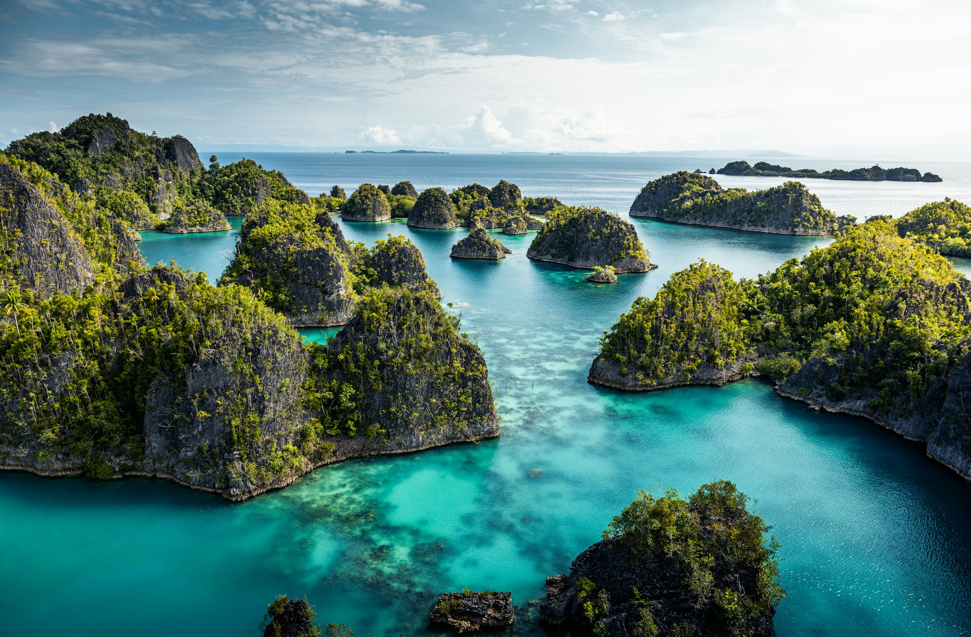 natural virgin sanctuaries, raja ampat natural virgin sanctuaries, raja ampat