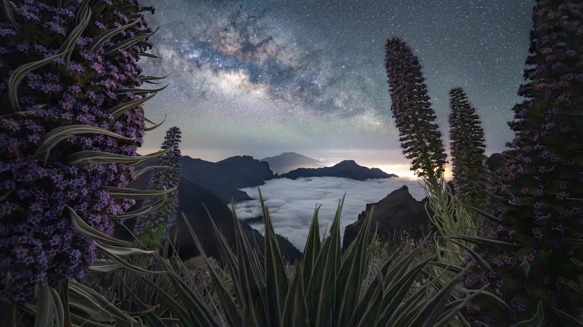 Max Terwindt. La Palma, Canary Islands Max Terwindt. La Palma, Canary Islands