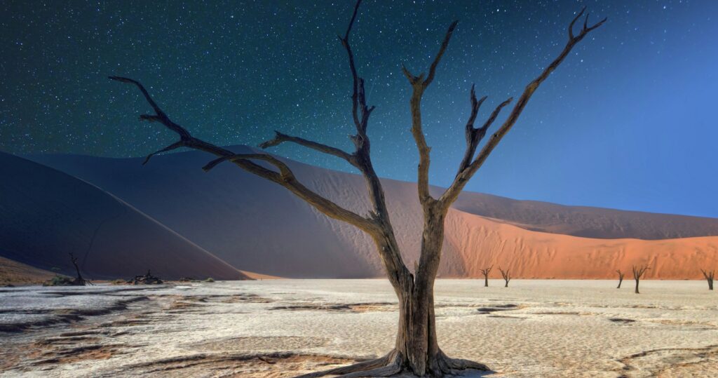 geography and nature challenge