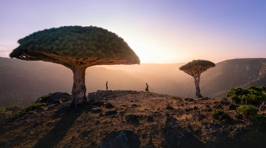 islands and archipelagoes quiz