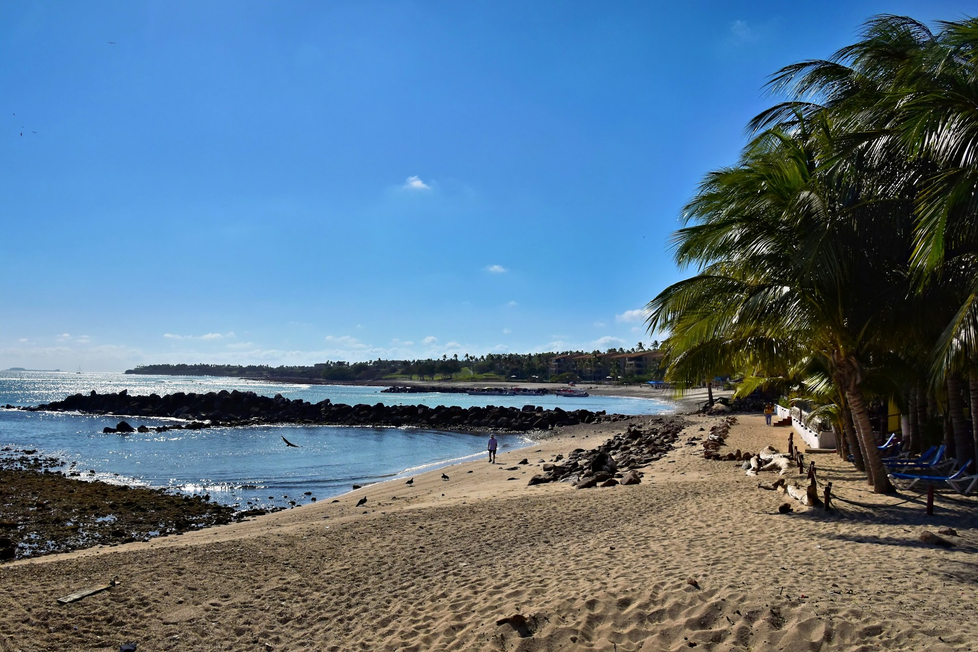 punta-mita-beach punta-mita-beach