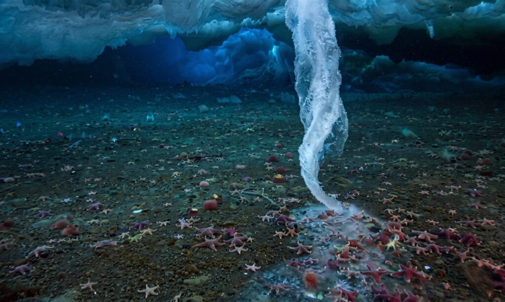 Brincicle-dedo-de-hielo