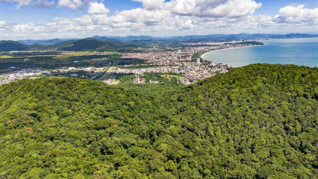 atlantic forest deforestation brazil