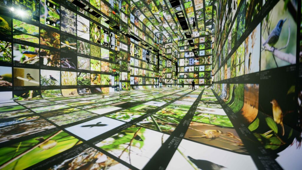 dataland museum