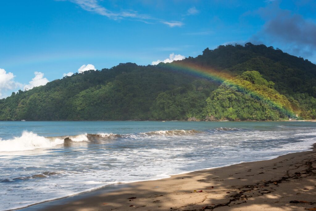 A colorful vibrant rainbow over a tropical beach with palm trees in Trinidad and Tobago. Photo by Caleb Oquendo on Pexels.