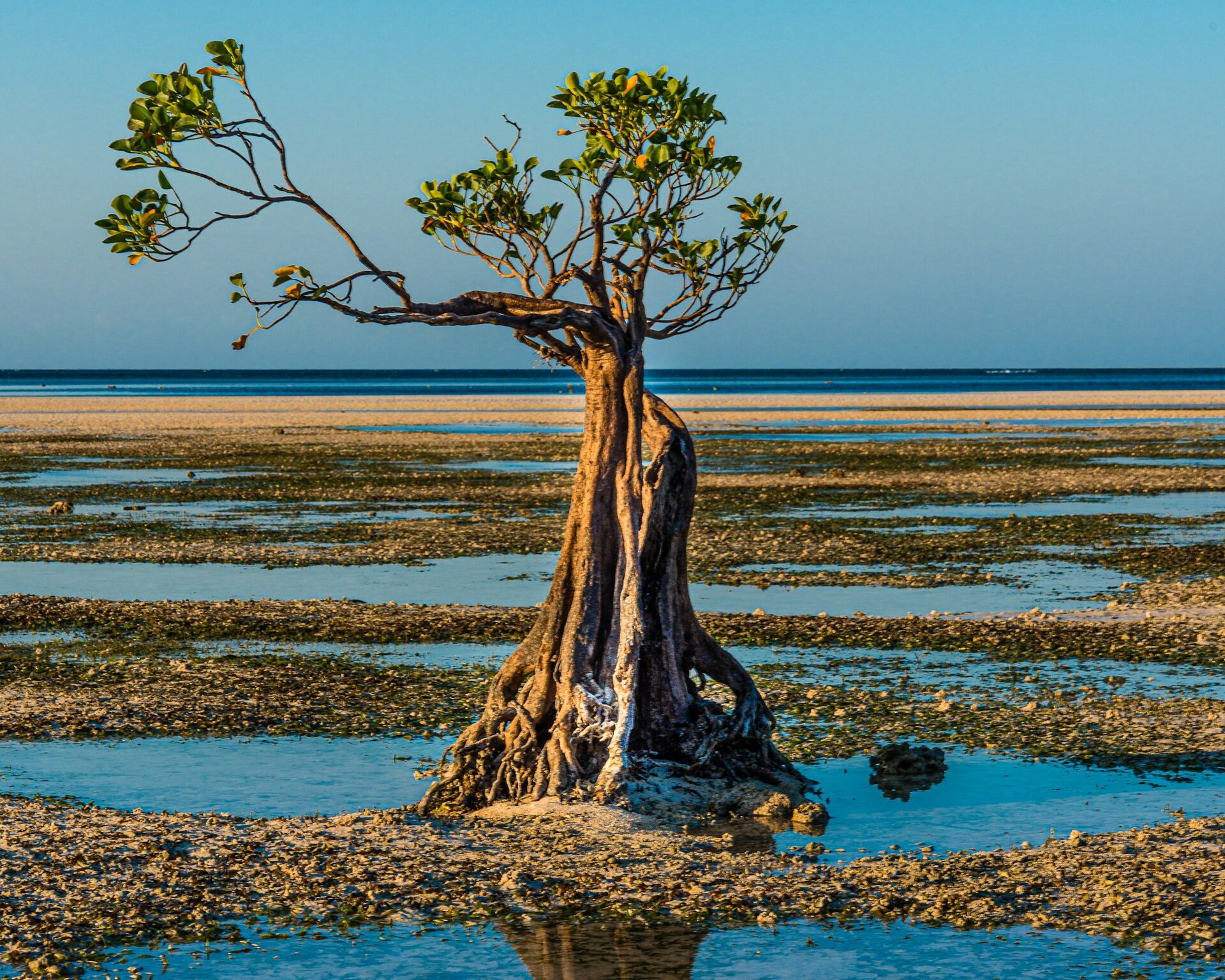 walakiri beach sumba