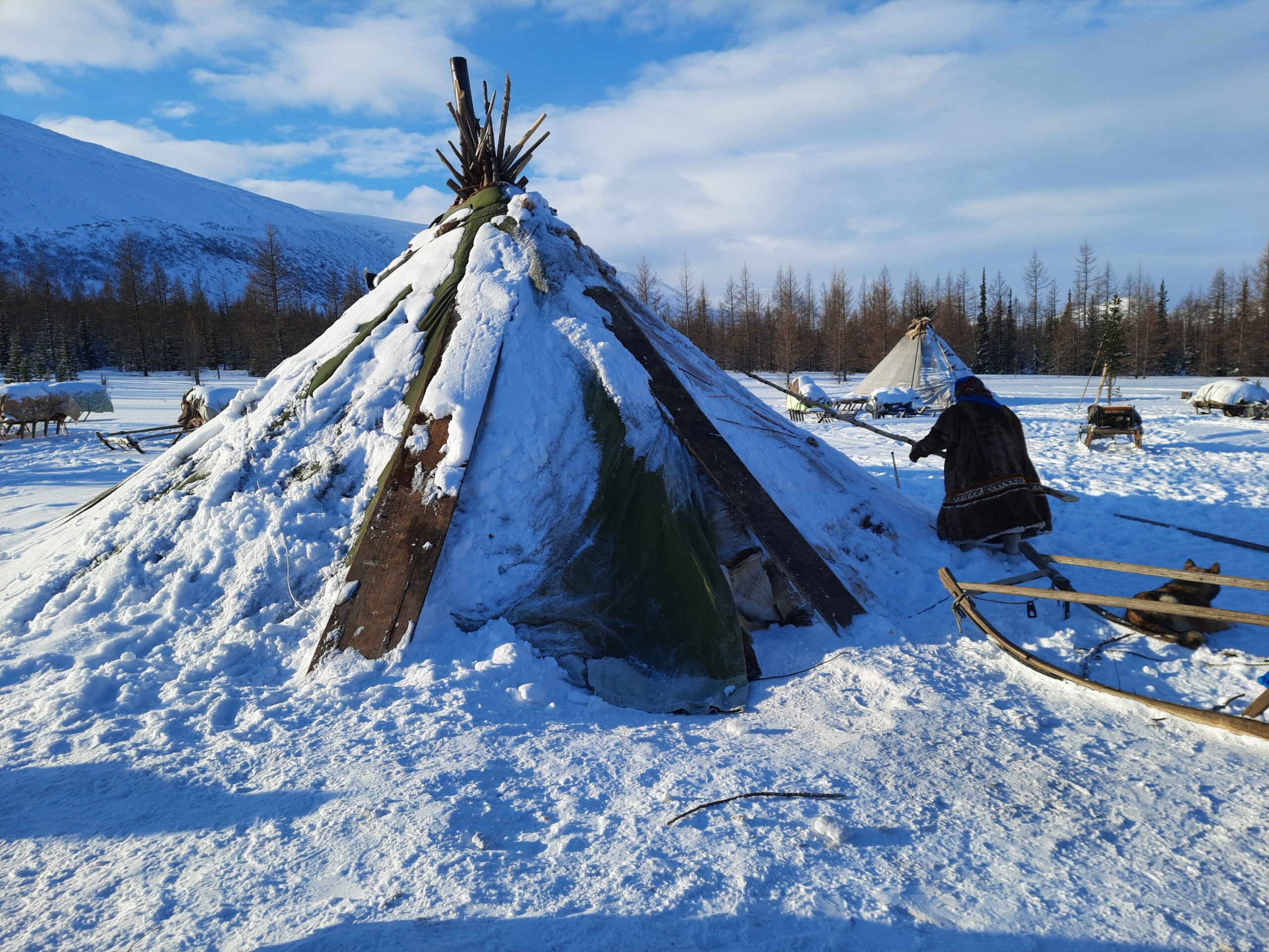 Frigid environment and traditional tents in the Russian tundra during the winter season.