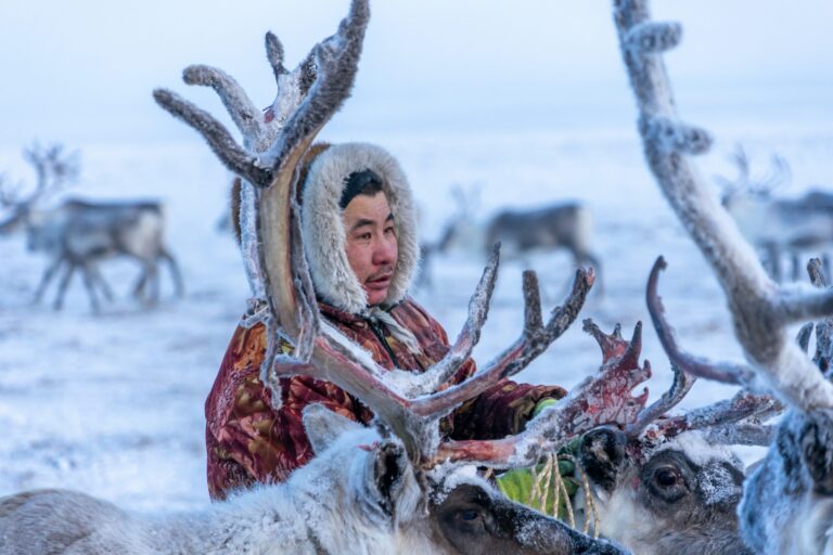 Indigenous Nénets woman wearing traditional winter clothing in the snowy landscape of Siberia.