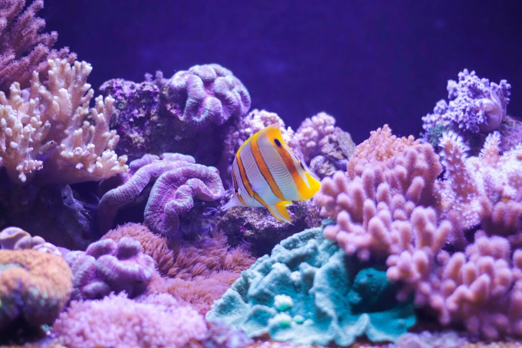 marine protected areas