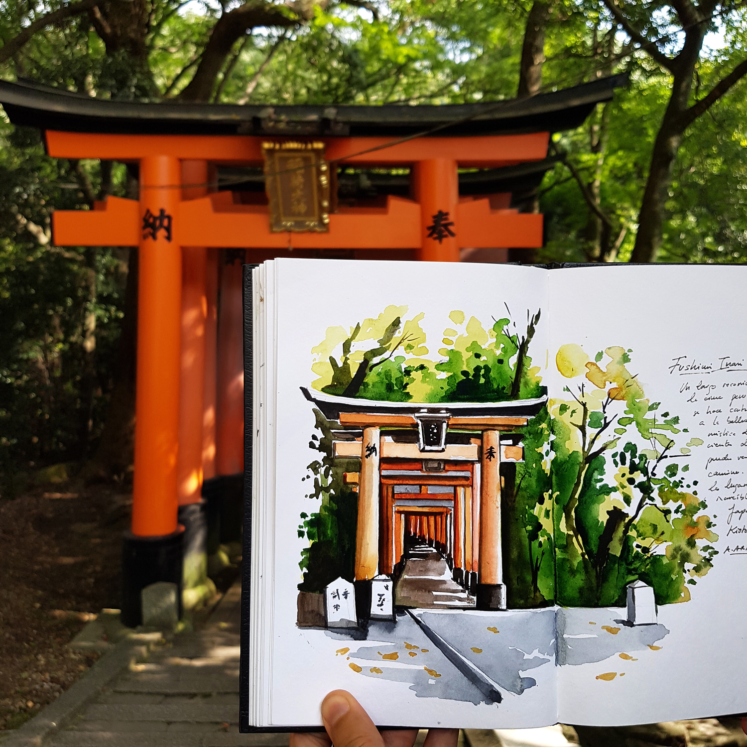 Alicia Aradilla’s Travel Watercolors