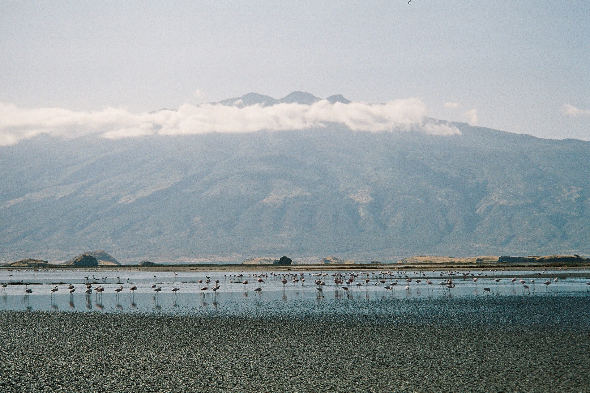 lake-natron