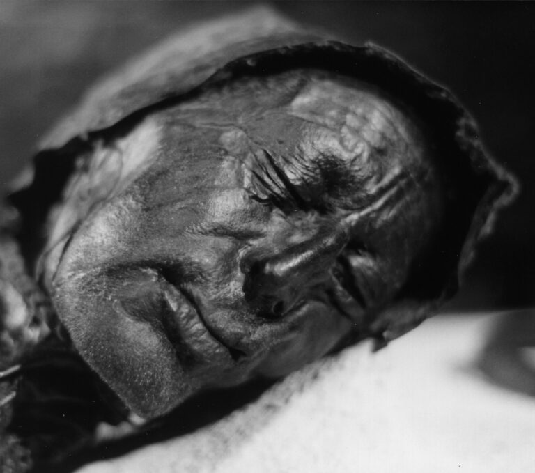 tollund man mummy